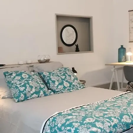 Daire Grand Hyper Centre 5 10 Personnes Castres (Tarn)