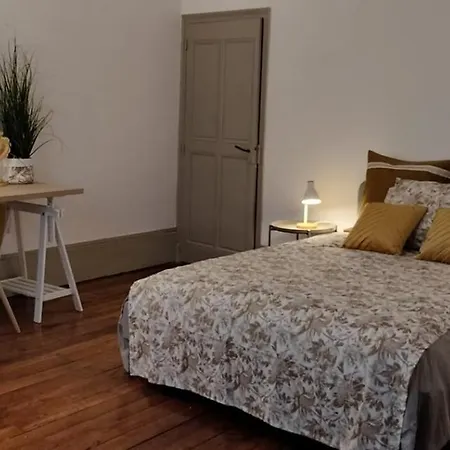 Daire Grand Hyper Centre 5 10 Personnes Castres (Tarn)