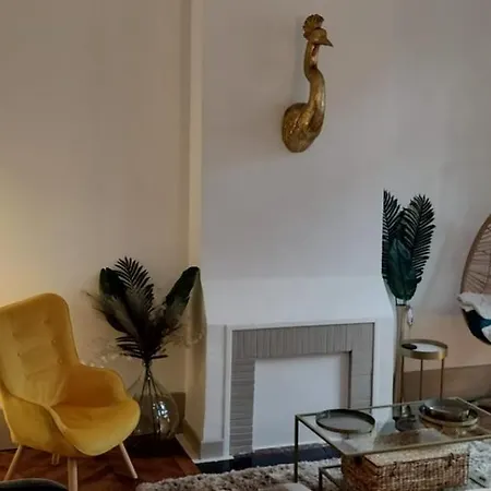 Grand Hyper Centre 5 10 Personnes Appartement Castres (Tarn)